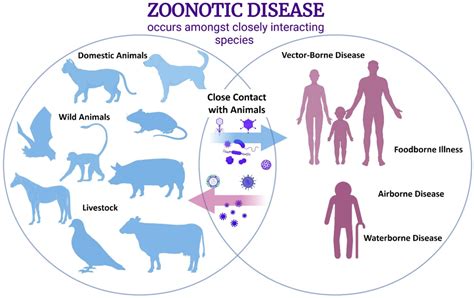 Transmission of Parasitic Diseases Animals (Zoonotic) / Parasitology