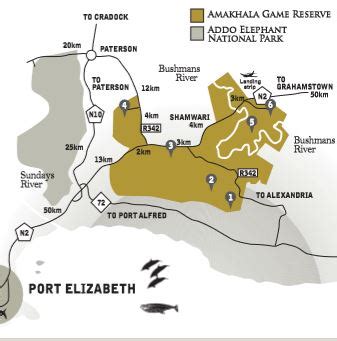 Op safari in het Amakhala Game Reserve - Zuid-Afrika Specialist