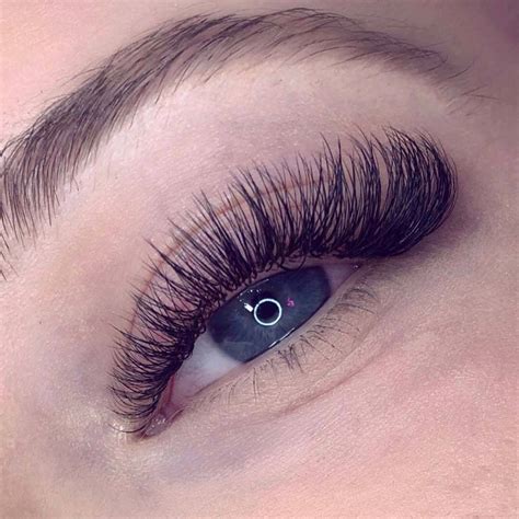 Hybrid Lashes | Nouveau Lashes