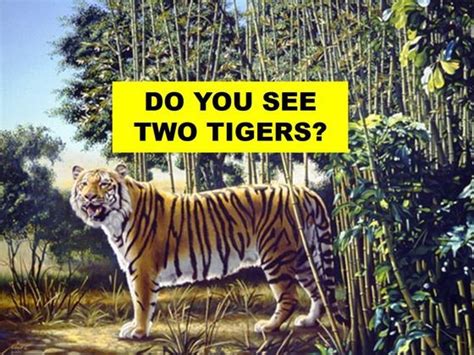 There Are TWO Tigers In This Picture, Can You Spot The Second One? | Optical illusion paintings ...