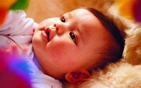 Cute Babies High Resolution Wallpapers: December 2010