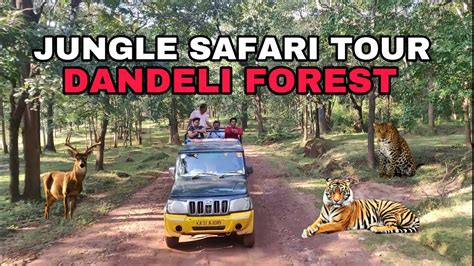 Jungle Safari at Joida Dandeli & Places to Visit - Ride to Dandeli Forest - Episode 2 - YouTube