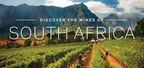 Discover the Wines of South Africa