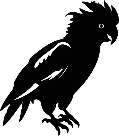 cockatoo black silhouette 38100435 Vector Art at Vecteezy