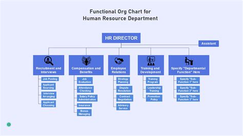 HR Department Structure: Free to Download (2024 Latest)