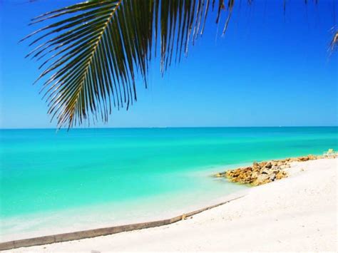 Top 15 Cleanest Beaches in Florida