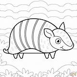Armadillo coloring page  Free Printable Coloring Pages sketch template