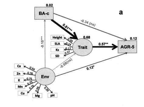 Structural Equation Modeling (SEM)