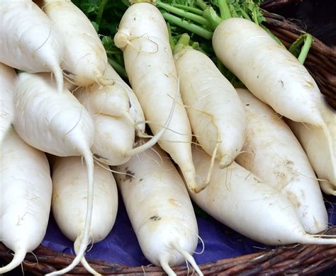 SEEDS = Lunar White Carrot 100 Seeds heirloom vegetable - Walmart.com ...