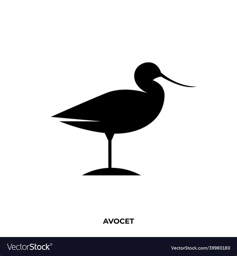 Graphic template of bird silhouette logo Vector Image