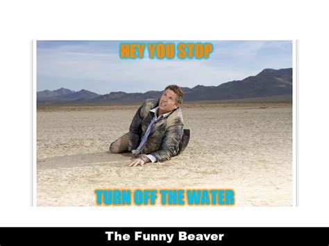 23 Funny Drought Memes That'll Water Your Crops | Memes, Summer memes, Funny