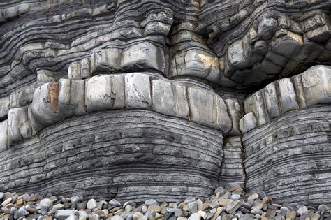 Stratified marine sedimentary rocks - Stock Image - C030/2279 - Science Photo Library