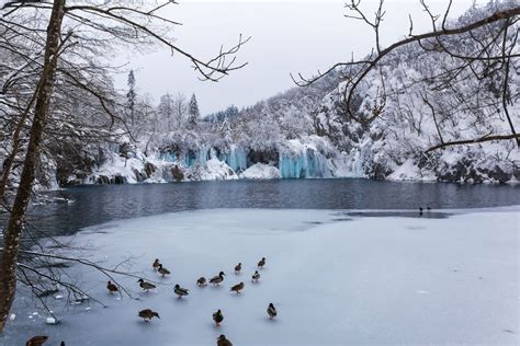 I Visited Plitvice In Winter | Bored Panda