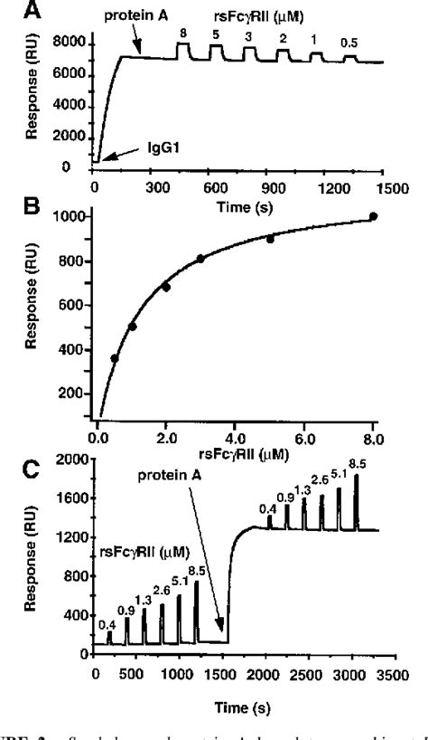 Figure 2 from The IgG Fc Contains Distinct Fc Receptor (FcR) Binding ...