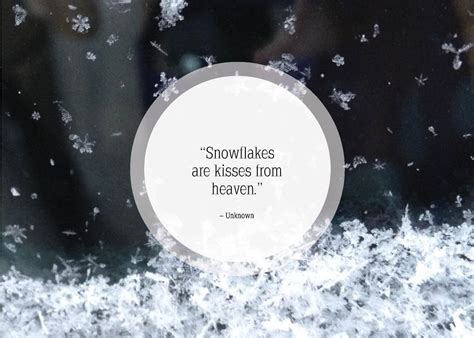 First Snow Quotes Funny - ShortQuotes.cc