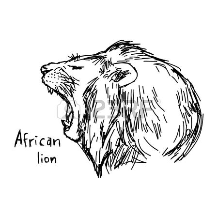 Lion Lying Down Drawing at GetDrawings | Free download