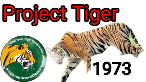 Project Tiger 1973 | What is Project Tiger ? | Tiger Reserves in India - YouTube