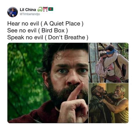 'Bird Box' Memes: 17 Hilarious Takes on the Netflix Horror Movie