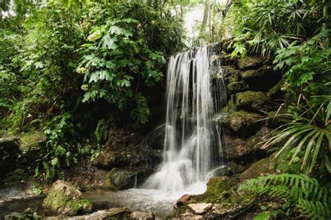 A Road Trip to See Waterfalls in Florida • Authentic Florida