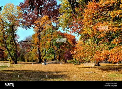 Picture of Central Park on a fall day showing the multiple colors of ...