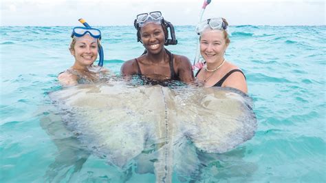 Stingray City Tour from Rum Point, Grand Cayman | RPC