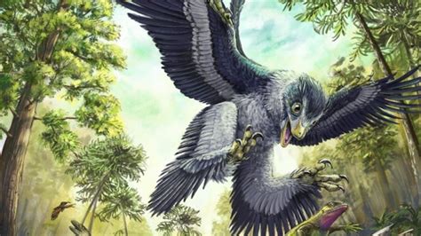 Cretaceous Birds Survived Mass Extinction By Eating Seeds | IFLScience