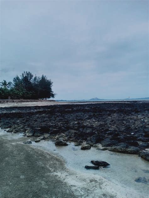 pantai batu hitam homestay - Louis Reyes