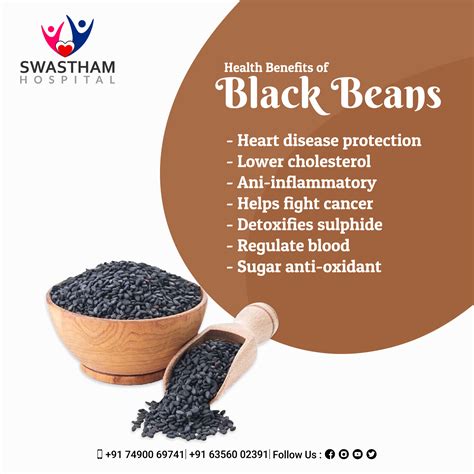 Black beans in 2023 | Fruit health benefits, Vegetable benefits, Black beans benefits