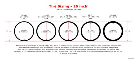 Bicycle: Bicycle Tire Sizes Explained