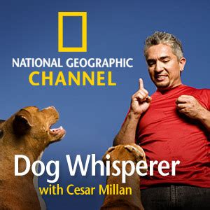 Cesar Millan - The Dog Whisperer Photo (25204452) - Fanpop