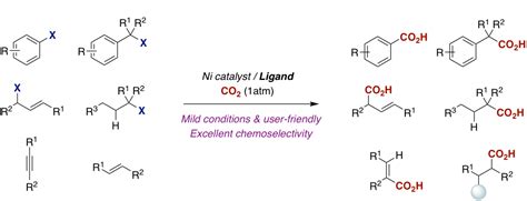 Ni-Catalyzed Reductive Carboxylation Reactions