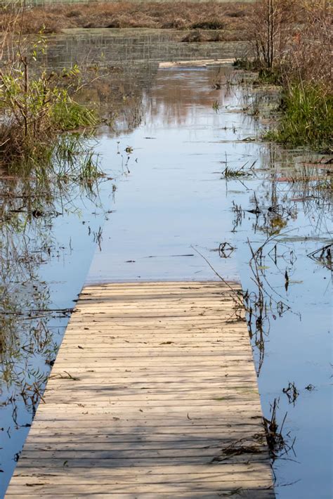 T & L Adventures: Pee Dee National Wildlife Refuge, North Carolina: 11 ...