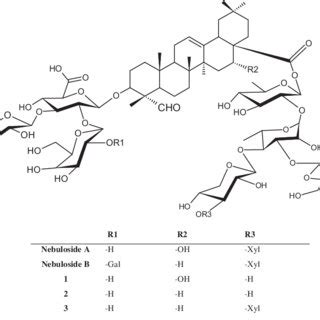 Chemical structures of triterpene saponins from G. arrostii var. nebulosa. | Download Scientific ...