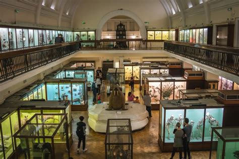 Ten Unusual Exhibits to See in London - Londontopia