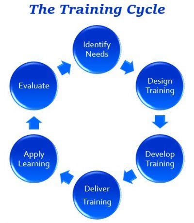 The Training Cycle - The Peak Performance Center