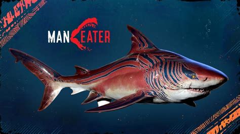 Maneater's first DLC adds a free Tiger Shark skin & an evolution to ...