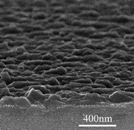 SEM image of sample #2 taken by tilting the substrate. | Download ...