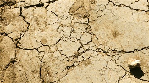 Free Images : desert, dry, soil, crack, earth, disaster, drought ...