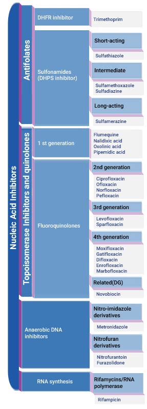 Antibiotic Classification Table