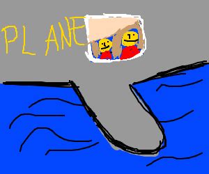 In the Aeroplane Over the Sea (Album Cover) - Drawception