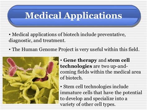 Product of modern biotechnology