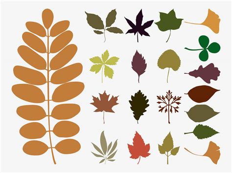 Fall Leaves Vectors Vector Art & Graphics | freevector.com