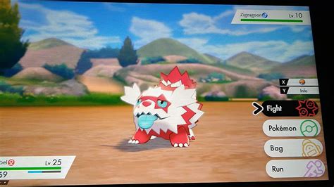 Pokemon Shiny Zigzagoon