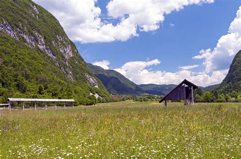 Lake Bohinj valley • Wander Your Way