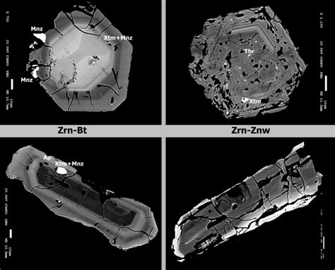 The most typical images showing the differences in the internal... | Download Scientific Diagram