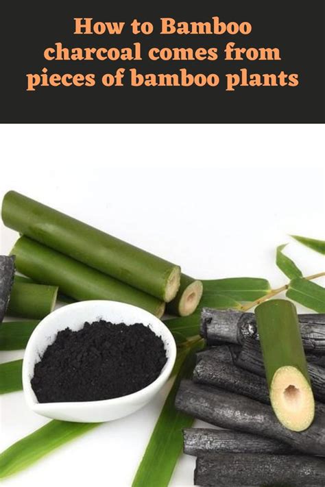 How to Bamboo charcoal comes from pieces of bamboo plants | Bamboo charcoal, Air purifier, Purifier