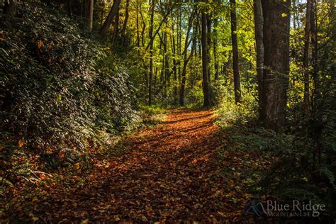 20+ Best Hiking Trails Near Waynesville NC - Blue Ridge Mountain Life in 2022 | Hiking trails ...