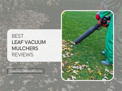 Top 17 Best Leaf Vacuum Mulchers Reviews 2024 (Recommended)