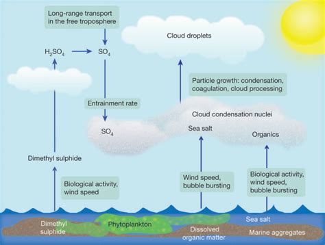 How do clouds form rain - zfioxhm