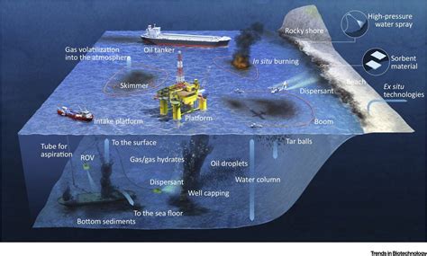 Natural Hazards | Hazard chains: from anthropic oil spills to ecosystem ...